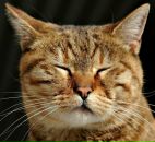 Фотография Сабановой Анастасии