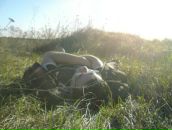 Фотография Прикладова Жени