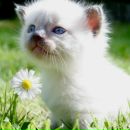 Фотография Селиховой Тамары