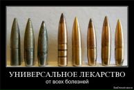 Фотография Беломытцева Аня