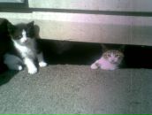 Фотография Бочкаревой Яны