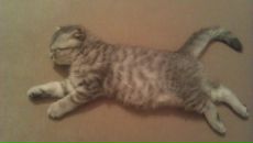 Фотография Важенцевой Валентины