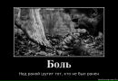 Іра Цівка фотография #43 (источник - https://vk.com/id120948154)