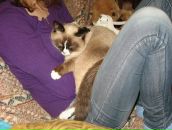 Світлана Куслива фотография #26 (источник - https://vk.com/id65058121)