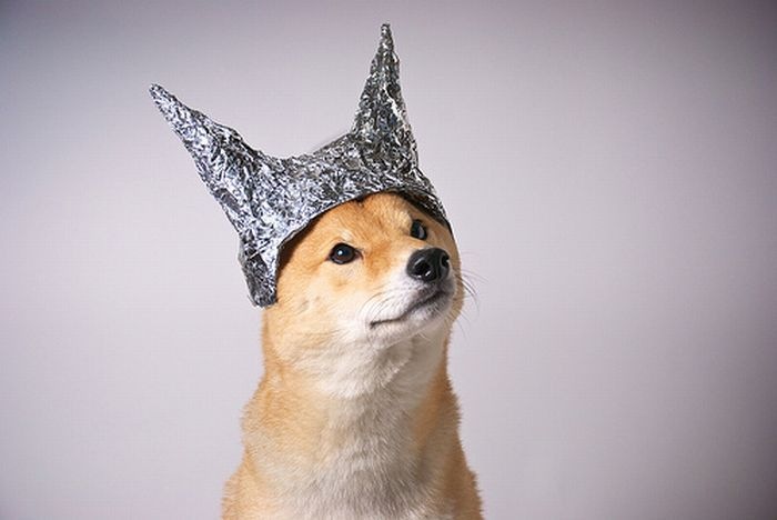 Дамир Рахимов фотография #3