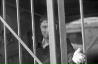 Фотография Кривошеева Александра