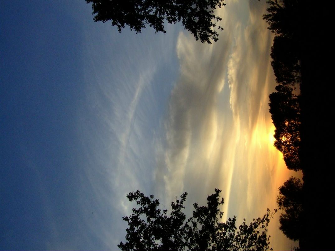 Дмитрий Ермилов фотография #50