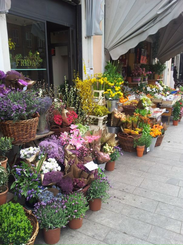 Екатерина Брамс фотография #50