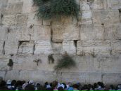 Анна Акимова фотография #33 (источник - https://vk.com/id693140)