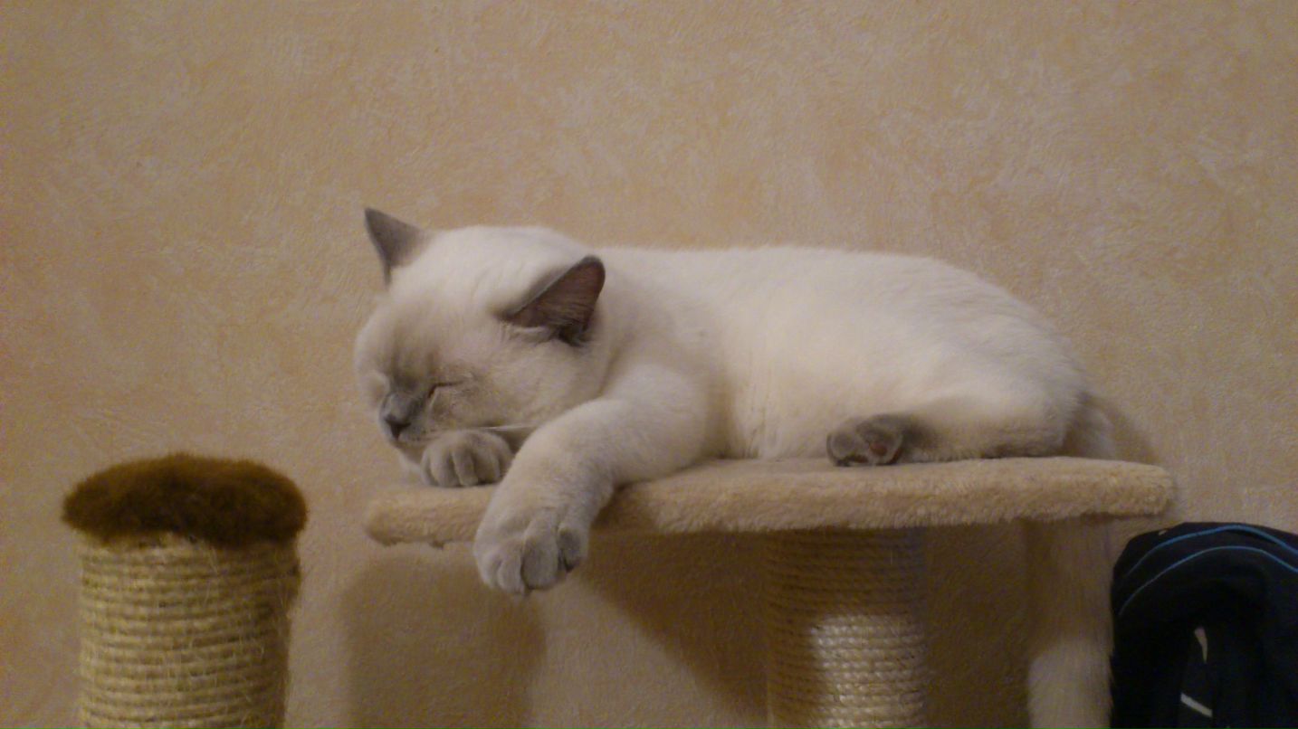 Евгений Упитер фотография #28