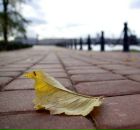 Фотография Марьиной Галины