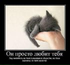 Антон Веремеенко фотография #8 (источник - https://vk.com/id2013513)