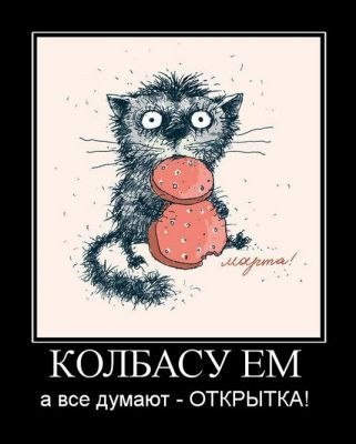 №8, Евгений Шалаев, Кострома, Россия №8, Евгений Шалаев, Кострома, Россия