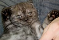 Фотография Власова Андрея