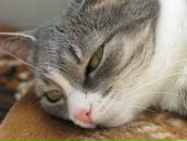 Фотография Буяновой Юлии