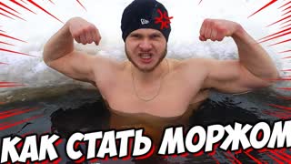 Как Стать МОРЖОМ